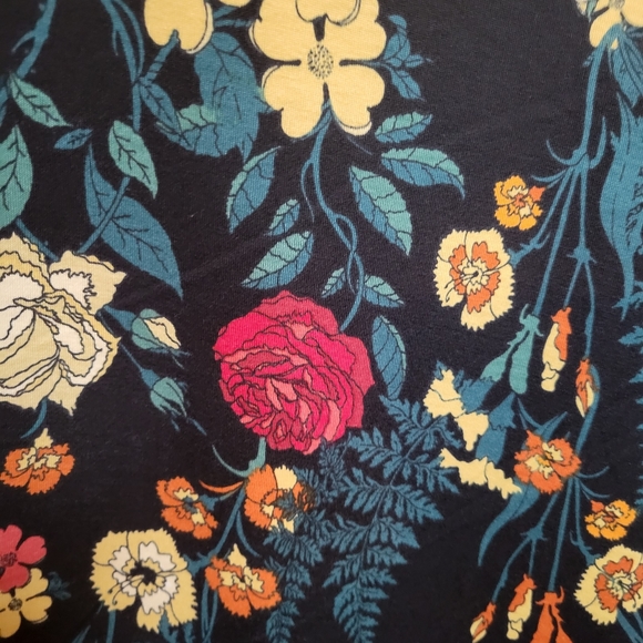 Lularoe Carly - Picture 4 of 4